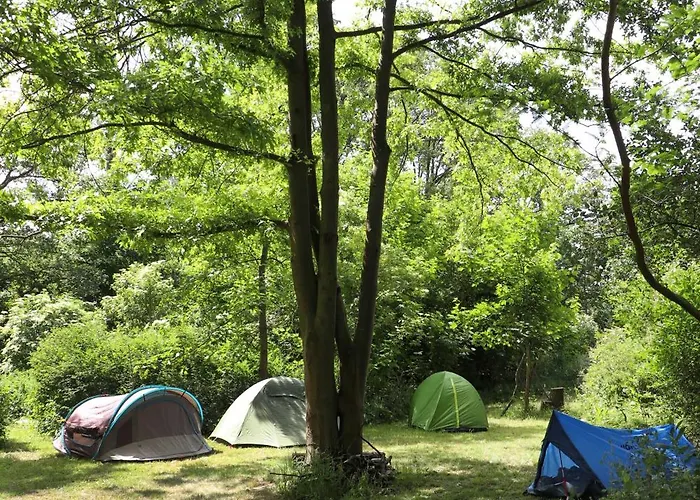 Campingplatz Einfachlosmachen-uwebus
